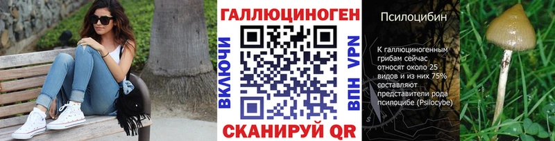 Галлюциногенные грибы Psilocybine cubensis  где продают наркотики  Тверь 