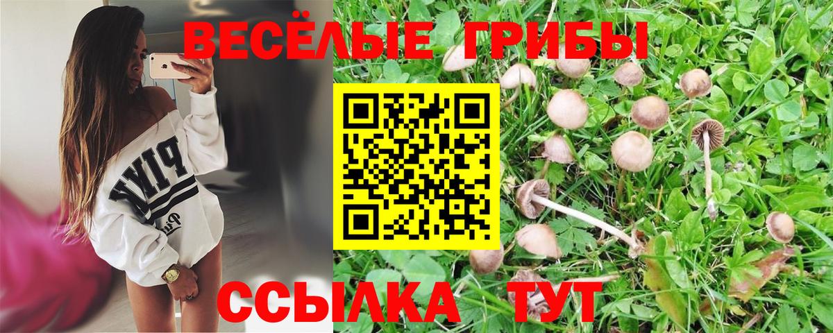 Галлюциногенные грибы GOLDEN TEACHER Тверь