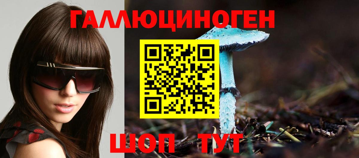 Псилоцибиновые грибы Psilocybine cubensis  Галлюциногенные грибы Psilocybine cubensis  Тверь  Вход с VPN 