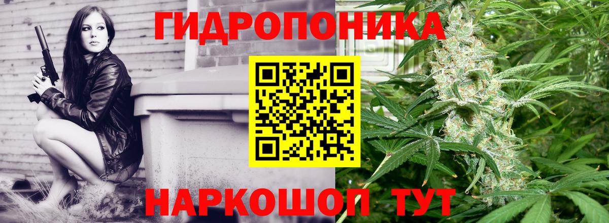 Бошки марихуана MAZAR  Конопля AK-47  Конопля LSD WEED  Тверь  Вход с VPN  Конопля SATIVA & INDICA 